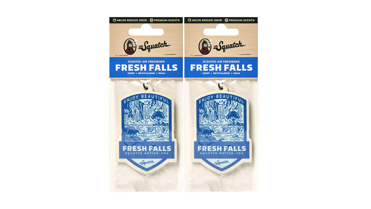 Fresh Falls Car Air Freshener 2-Pack Main image