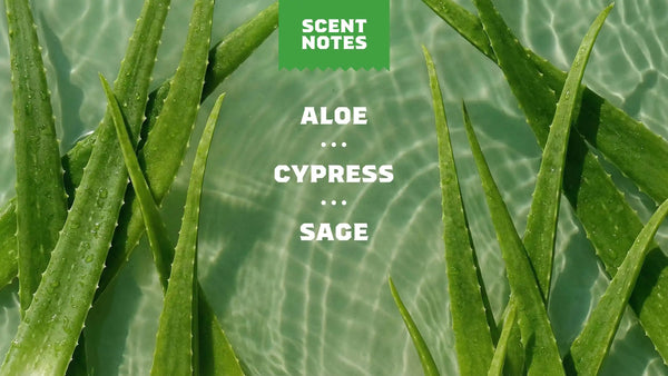 Cool Fresh Aloe
