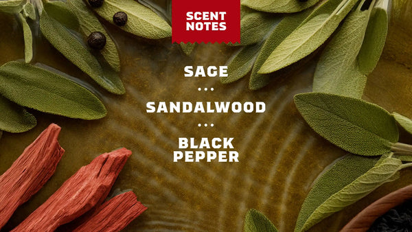 14 oz Sandalwood Summit Body Wash