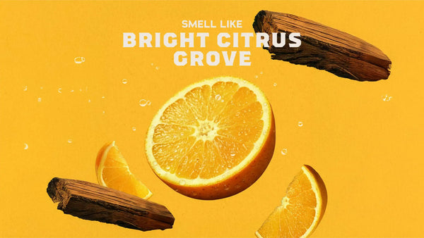 14 oz Summer Citrus Body Wash